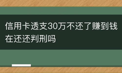 信用卡透支30万不还了赚到钱在还还判刑吗