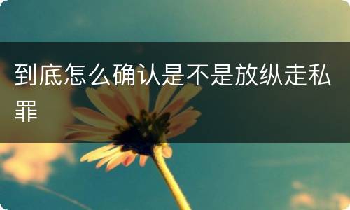 到底怎么确认是不是放纵走私罪
