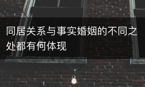 同居关系与事实婚姻的不同之处都有何体现