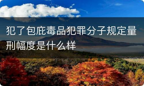 犯了包庇毒品犯罪分子规定量刑幅度是什么样