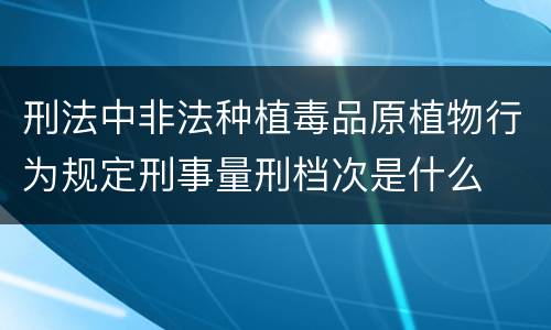 刑法中非法种植毒品原植物行为规定刑事量刑档次是什么