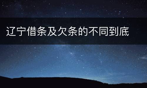 辽宁借条及欠条的不同到底