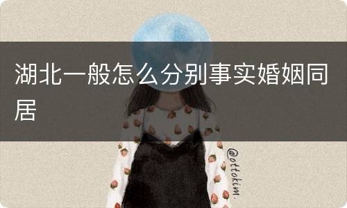 湖北一般怎么分别事实婚姻同居