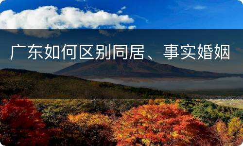 广东如何区别同居、事实婚姻