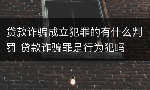 贷款诈骗成立犯罪的有什么判罚 贷款诈骗罪是行为犯吗