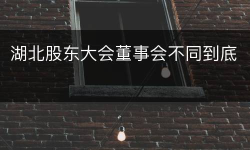 湖北股东大会董事会不同到底