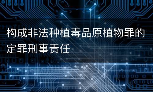 构成非法种植毒品原植物罪的定罪刑事责任