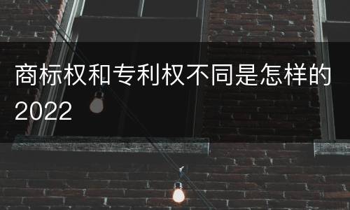 商标权和专利权不同是怎样的2022