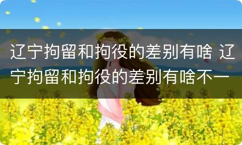 辽宁拘留和拘役的差别有啥 辽宁拘留和拘役的差别有啥不一样