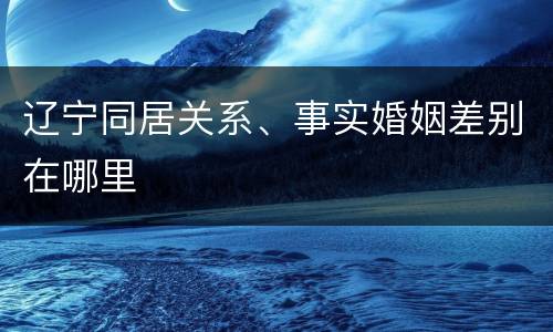 辽宁同居关系、事实婚姻差别在哪里