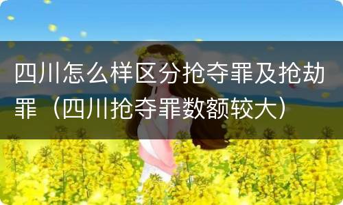 四川怎么样区分抢夺罪及抢劫罪（四川抢夺罪数额较大）