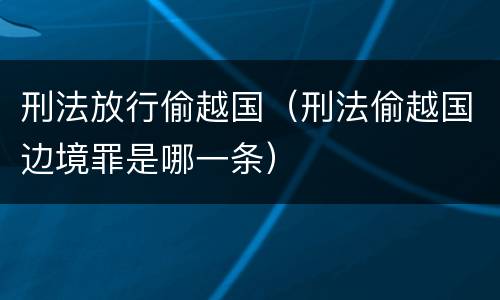 刑法放行偷越国（刑法偷越国边境罪是哪一条）