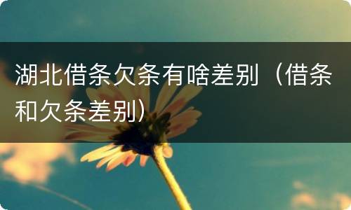 湖北借条欠条有啥差别（借条和欠条差别）