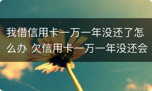 我借信用卡一万一年没还了怎么办 欠信用卡一万一年没还会怎么样