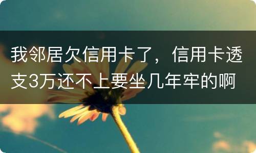 我邻居欠信用卡了，信用卡透支3万还不上要坐几年牢的啊