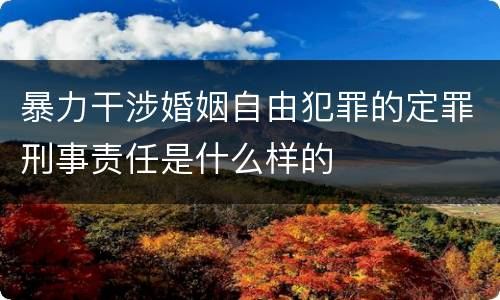 暴力干涉婚姻自由犯罪的定罪刑事责任是什么样的