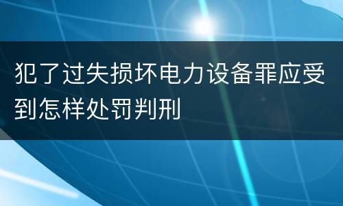 犯了过失损坏电力设备罪应受到怎样处罚判刑