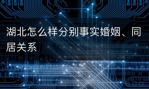 湖北怎么样分别事实婚姻、同居关系