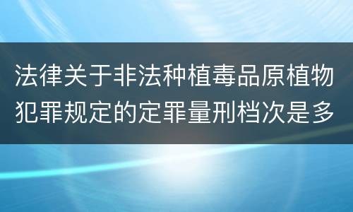 法律关于非法种植毒品原植物犯罪规定的定罪量刑档次是多少