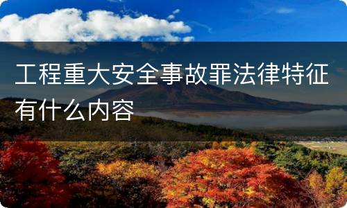 工程重大安全事故罪法律特征有什么内容