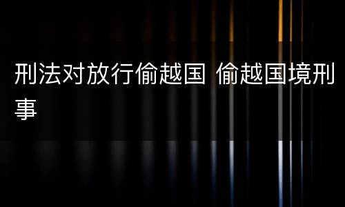 刑法对放行偷越国 偷越国境刑事