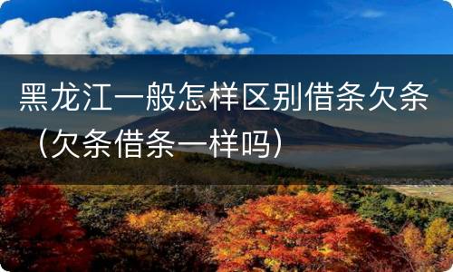 黑龙江一般怎样区别借条欠条（欠条借条一样吗）