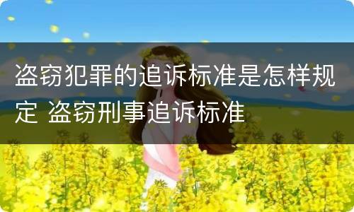 盗窃犯罪的追诉标准是怎样规定 盗窃刑事追诉标准