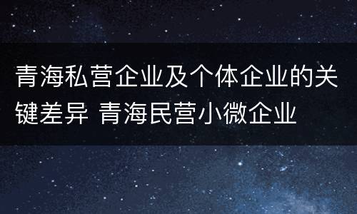 青海私营企业及个体企业的关键差异 青海民营小微企业