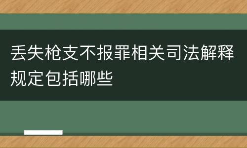 丢失枪支不报罪相关司法解释规定包括哪些