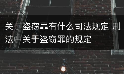 关于盗窃罪有什么司法规定 刑法中关于盗窃罪的规定