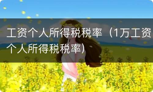 工资个人所得税税率（1万工资个人所得税税率）