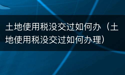 土地使用税没交过如何办（土地使用税没交过如何办理）
