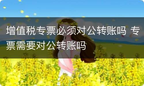 增值税专票必须对公转账吗 专票需要对公转账吗
