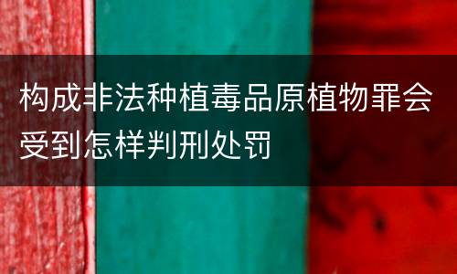 构成非法种植毒品原植物罪会受到怎样判刑处罚
