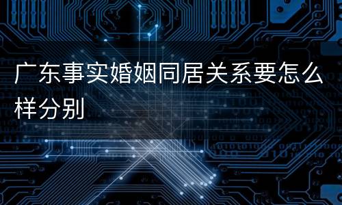 广东事实婚姻同居关系要怎么样分别