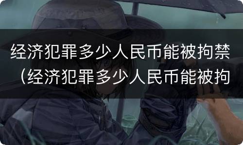 经济犯罪多少人民币能被拘禁(经济犯罪多少人民币能被拘禁)