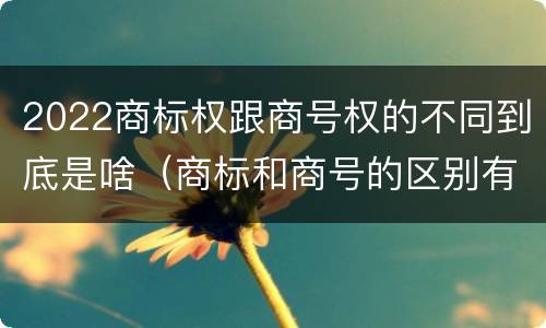 2022商标权跟商号权的不同到底是啥（商标和商号的区别有哪些?）
