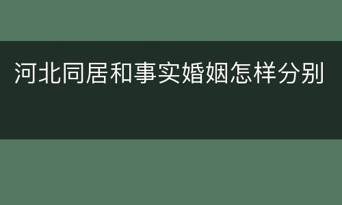 河北同居和事实婚姻怎样分别