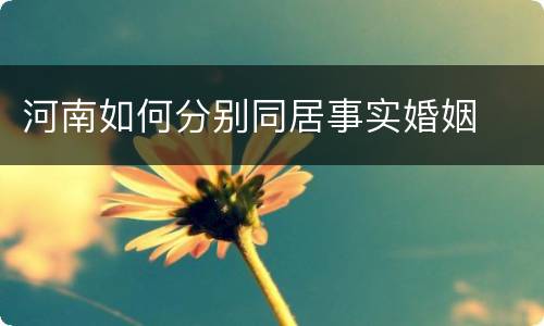 河南如何分别同居事实婚姻