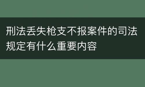刑法丢失枪支不报案件的司法规定有什么重要内容