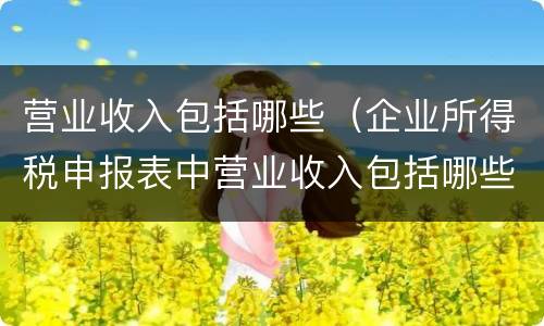 营业收入包括哪些（企业所得税申报表中营业收入包括哪些）
