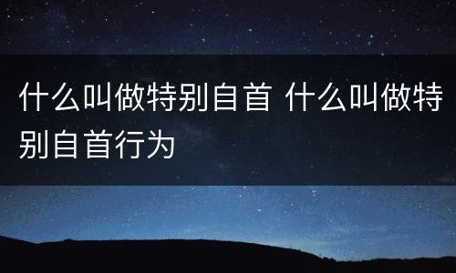 什么叫做特别自首 什么叫做特别自首行为