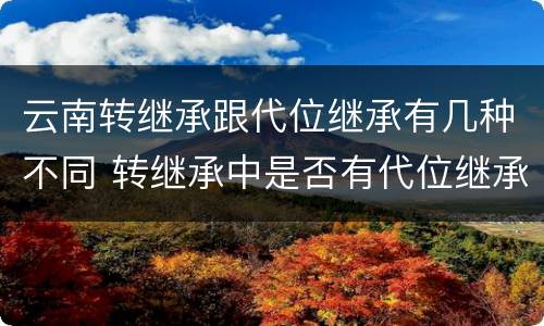 云南转继承跟代位继承有几种不同 转继承中是否有代位继承