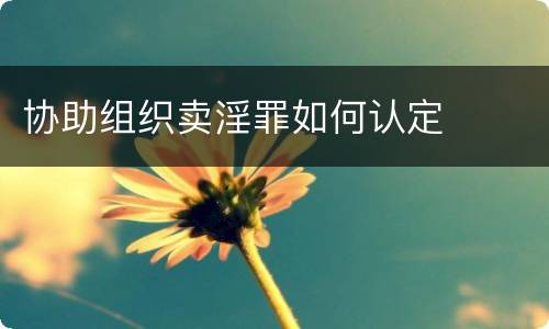 协助组织卖淫罪如何认定