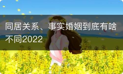 同居关系、事实婚姻到底有啥不同2022