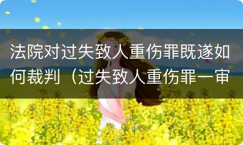 法院对过失致人重伤罪既遂如何裁判（过失致人重伤罪一审刑事判决书）