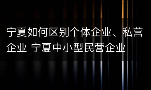 宁夏如何区别个体企业、私营企业 宁夏中小型民营企业