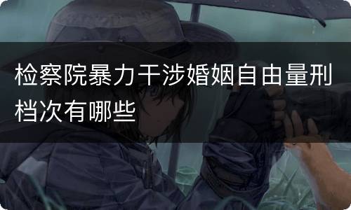 检察院暴力干涉婚姻自由量刑档次有哪些