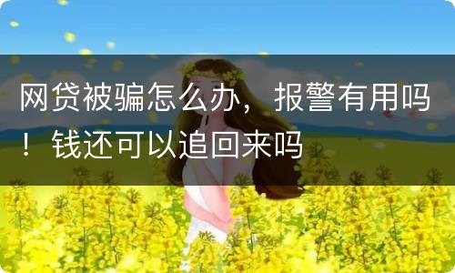 网贷被骗怎么办，报警有用吗！钱还可以追回来吗