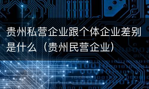 贵州私营企业跟个体企业差别是什么（贵州民营企业）